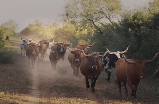 Photo of John W. Gonzalez