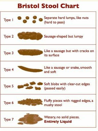 what your poop tells about your health