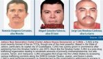 Quick Glossary Guide to Drug Cartel Terminology – Clever Journeys